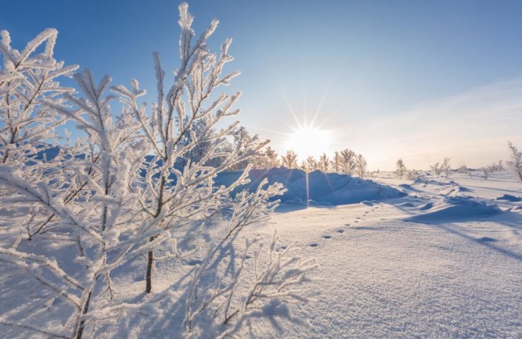 iStock-1190692055